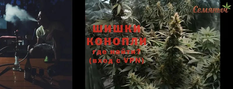 Бошки марихуана SATIVA & INDICA  Лобня 